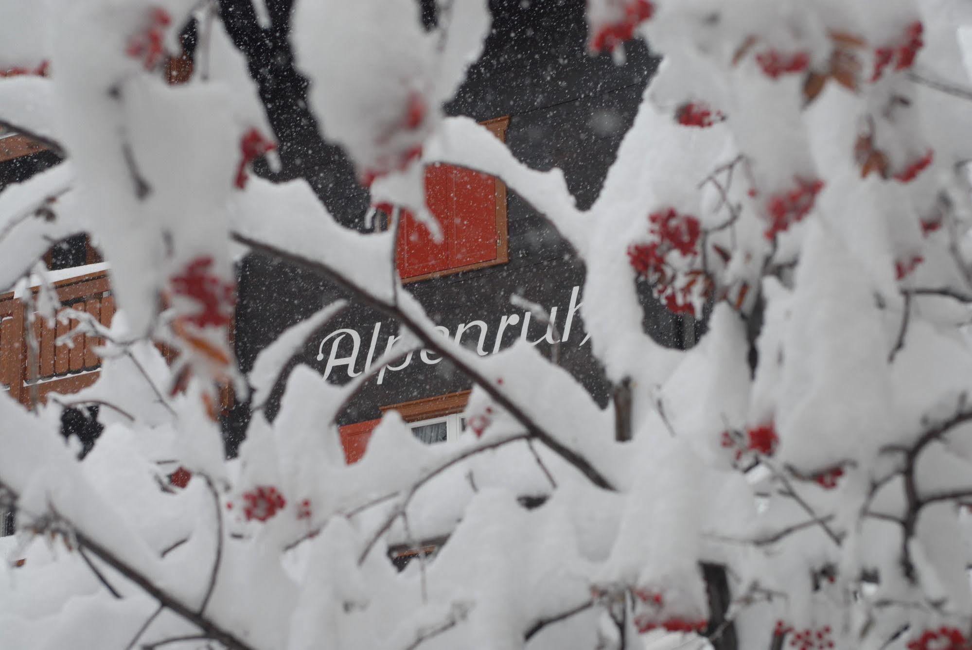 Chalet Alpenruh Saas Fee Dış mekan fotoğraf